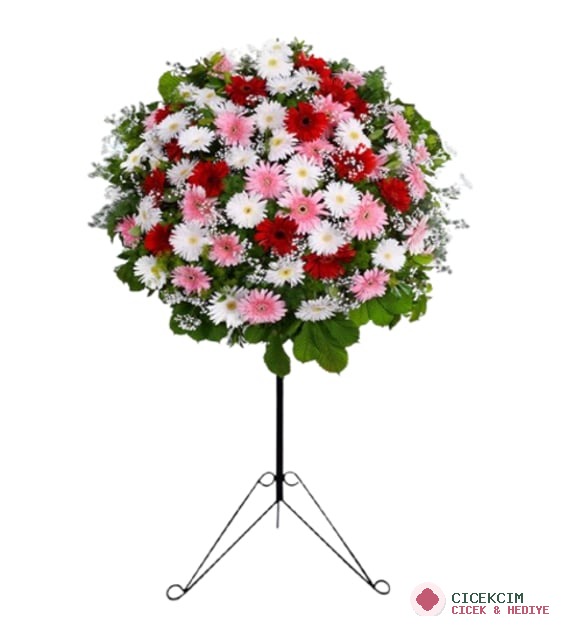 KARIŞIK GERBERA FERFOJE