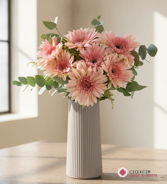 Bej Çizgili Polimer Vazoda Pembe Gerbera Çiçekleri