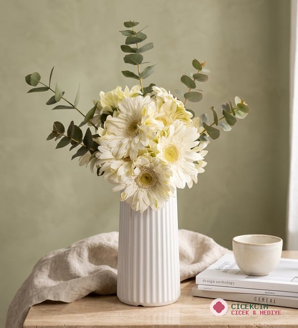 Beyaz Çizgili Polimer Vazoda Beyaz Gerbera Çiçekleri
