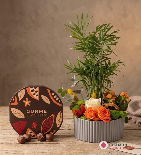 Gri Polimer Saksıda Chamadora ve Gurme Lezzetler