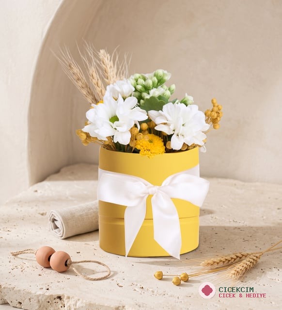 Sarı Saksıda Beyaz Papatyayalar ve Kalanchoe